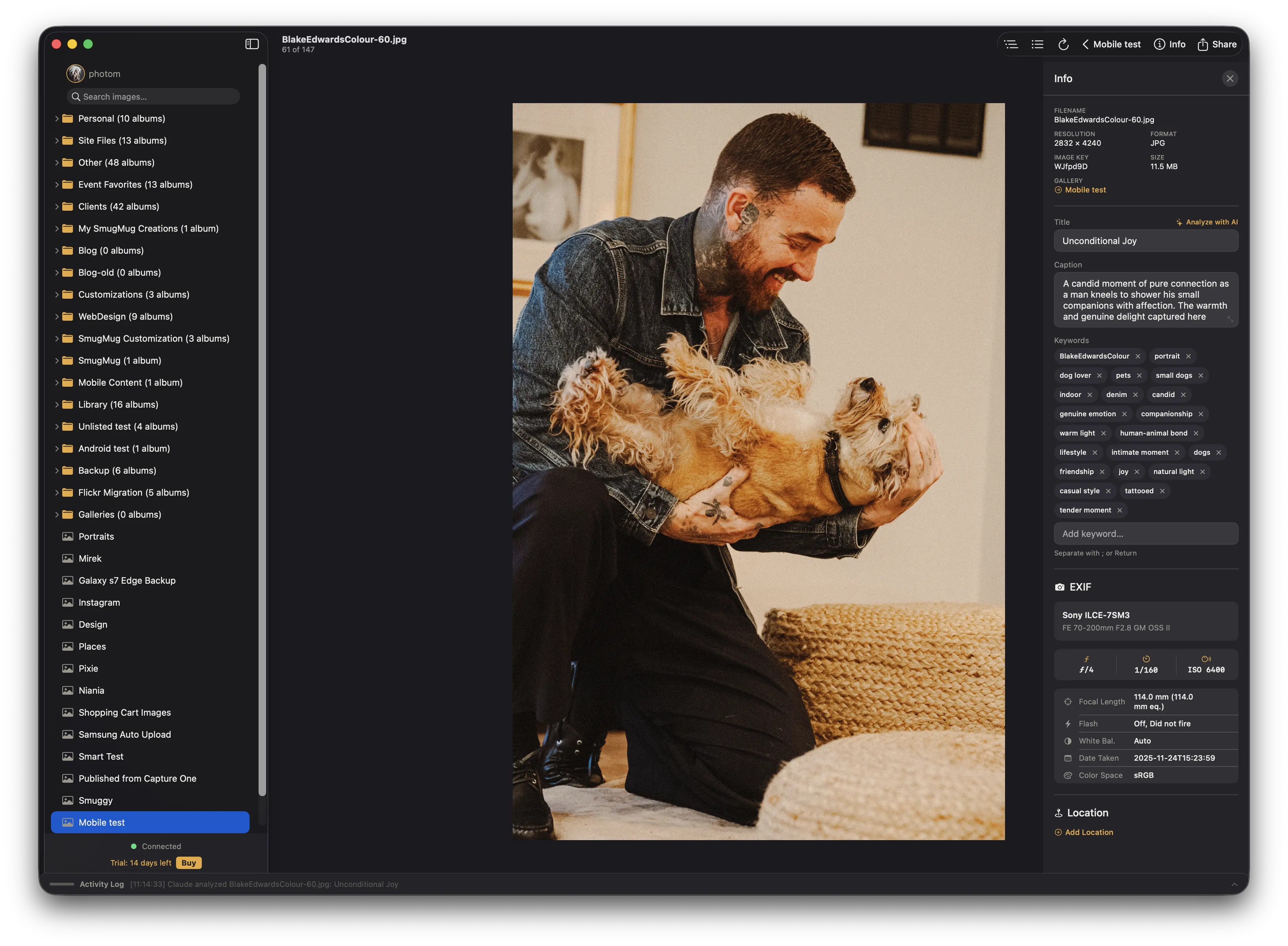 The image info panel showing metadata and EXIF data