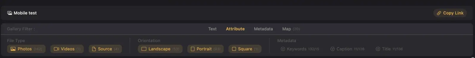 The Attribute tab showing file type, orientation, and metadata presence filters