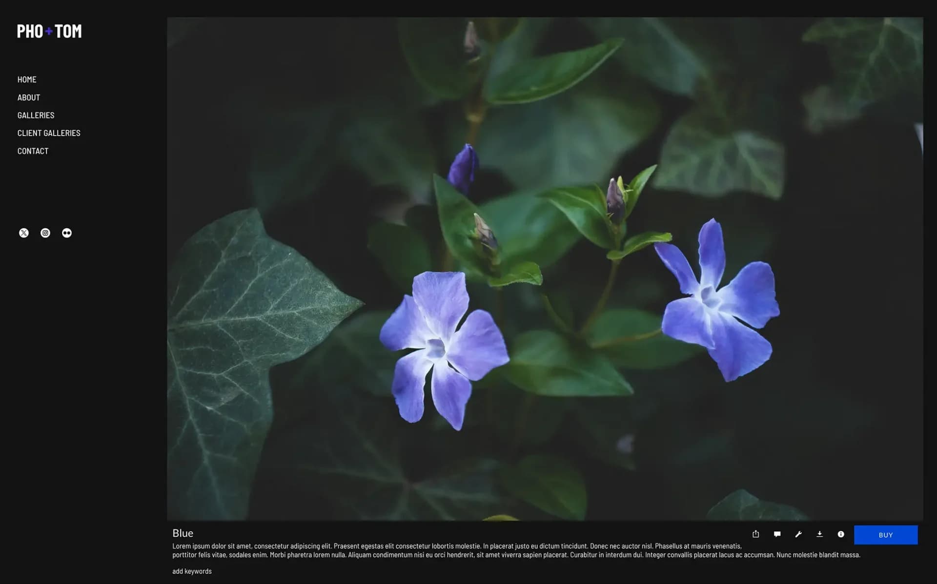 Expanded text in Journal gallery