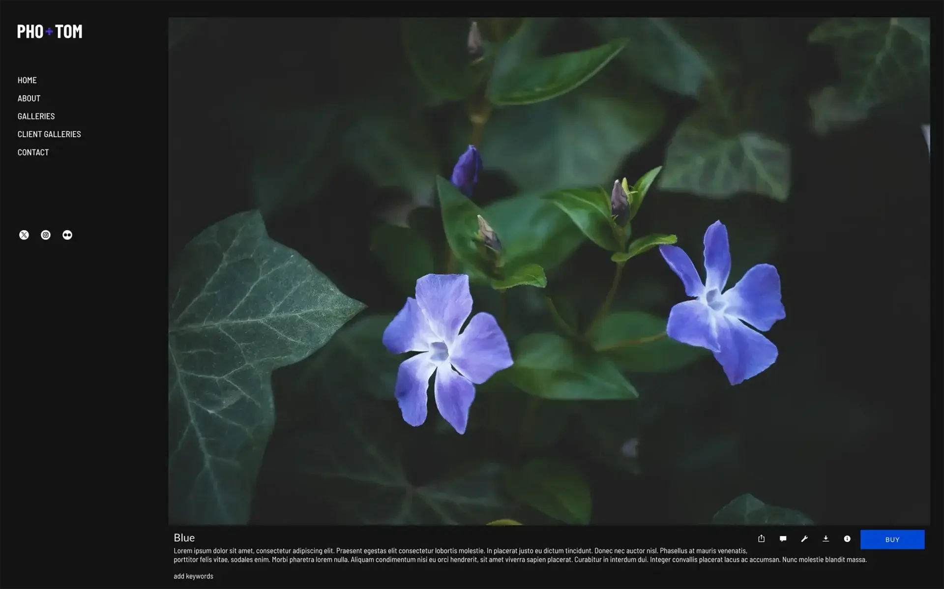 Expanded text in Journal gallery