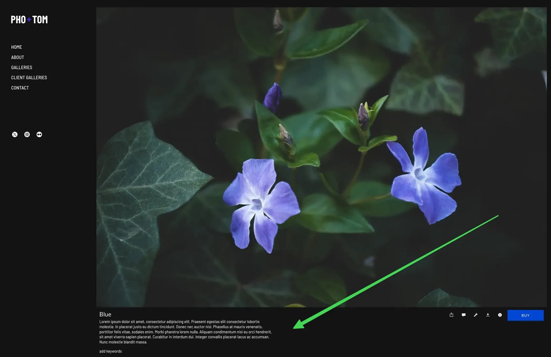 Truncated text in Journal gallery