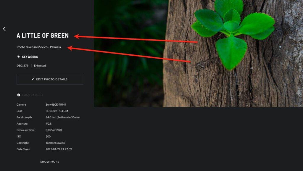 Lightbox sidebar titles and captions